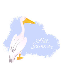 Pink pelican. Waterfowl. Hello summer hand lettering.