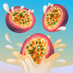passion fruit splash vector