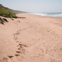 Footprints in the sand