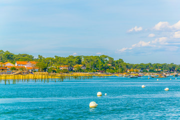 Coastline of Arcachon bay in France