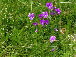 rando au col des Supeyres