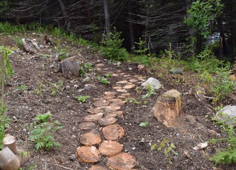 freshly landscaped woodland garden on a shady slope, with wooden stepping stones