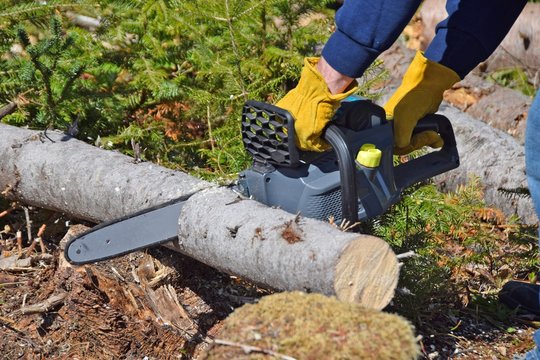 a pair of hands with glove and partial view of arms using a cordless electric chainsaw to cut a medium sized tree trunk on the ground on a forest clearing