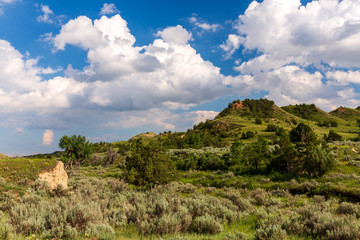 The rollings of hills of Theodore Roosevelt National Park