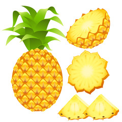 pineapple vector illustration