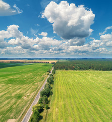 Aerial view of a country road and green fields in sunny day. Rural landscape