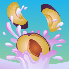 plum splash vector