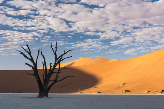 Namibia Dead Vlei © Mark Dumbleton