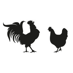 silhouette of a cock and a chicken on a white background