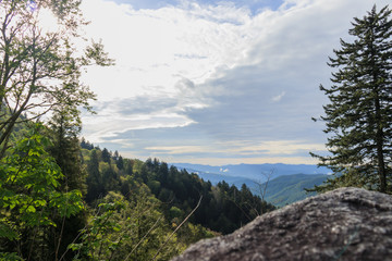 Cloudy morning in the Great Smoky Mountains National Park, Tennessee, USA