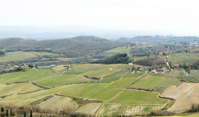 aerial view of vineyards landscape of tuscany, Italy