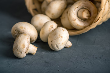 White Champions in the basket on the dark kitchen table. Cooking delicious dishes with mushrooms