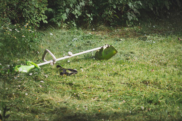 A lawn mower trimmer lies on the grass in the garden. Bevel of grass, cutting lawns.