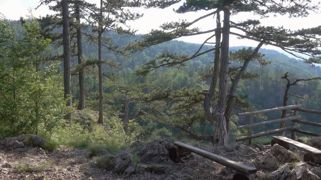 View from famous Banjska stena on Drina river in Tara National Park, Serbia, panorama 4k