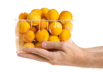Apricots in a basket orange fruit in hand on a white background isolation