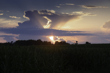 Farm Life