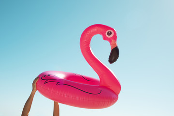 man with a pink flamingo swim ring
