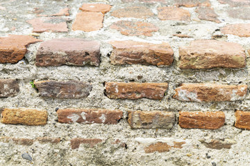 Background with space for text or image