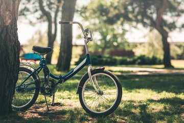 Fototapeta na wymiar bicycle near a tree in the park, healthy lifestyle, summer