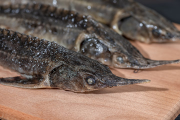 fresh raw sturgeon fish on wooden background, close up