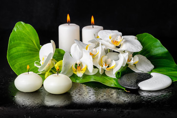 beautiful spa still life of blooming white orchid flower, phalaenopsis, green leaf with dew, candles and sign Yin Yang stones on black