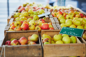 Fresh organic vegetables and fruits on farmer market in Paris, France