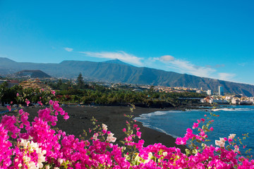 Obraz premium playa Jardin, Puerto Cruz, Tenerife, Spain