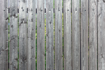 Old fence of boards with faded paint. Empty gray background. Texture of wooden planks.