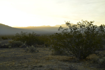 early morning on Mesquite Road, Pahrump, Nevada,USA