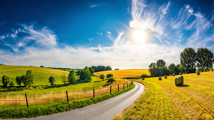 Landschap in de zomer met felle zon, weilanden en gouden korenveld op de achtergrond
