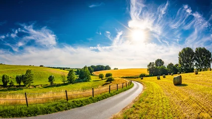 Foto op Plexiglas Landschap in de zomer met felle zon, weilanden en gouden korenveld op de achtergrond © Günter Albers