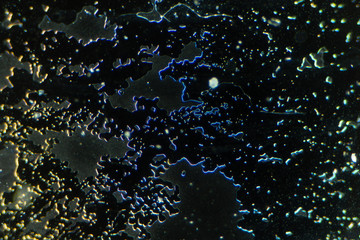 nanostructure of the metamaterial in a microscope
