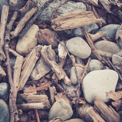 Schwemmholz am Ufer des Bodensee