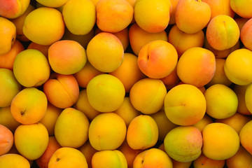 Ripe juicy orange apricots fruit background.