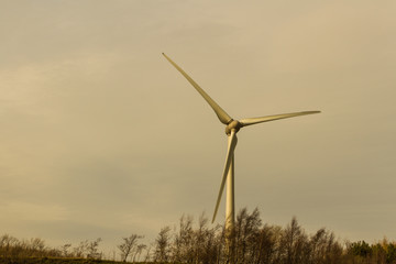 Fototapeta na wymiar Wind turbine, against afternoon sky.