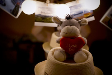 Pluszak © Krzysztof