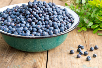 Fresh Bilberries from a bowl on old wooden table. Leaves with berries Bilberries on the Bush