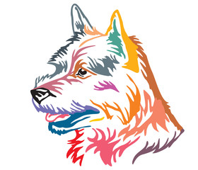 Colorful decorative portrait of Dog Norwich Terrier vector illustration