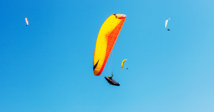 Air sportsmans group soaring in sky with a bright paraplanes