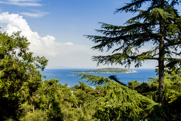 Fototapeta na wymiar Istanbul, Turkey, 3 August 2012: Buyukada, Princes Islands district of Istanbul