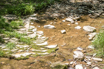 Clear Flowing Rocky Creek