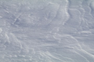 Snow Texture