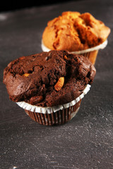 Chocolate muffin and nut muffin, homemade bakery on dark background.