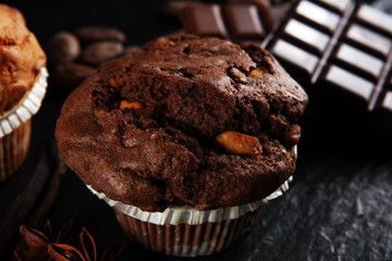 Chocolate muffin and nut muffin, homemade bakery on dark background.