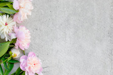 Fototapeta na wymiar Grey floral background with peony