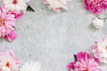 Grey floral background with peony