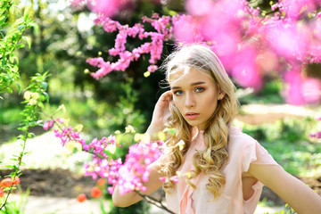 Spring bloom concept. Young woman enjoy flowers in garden, defocused. Girl on dreamy face, tender blonde near violet flowers of judas tree, nature background. Lady walks in park on sunny spring day.