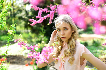 Fototapeta premium Spring bloom concept. Young woman enjoy flowers in garden, defocused. Girl on dreamy face, tender blonde near violet flowers of judas tree, nature background. Lady walks in park on sunny spring day.