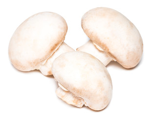 Fresh champignon mushrooms isolated on white background