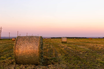 rolls of hay at sunset